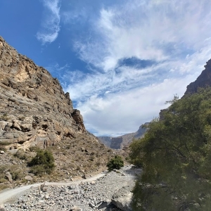 okoli-nizwa