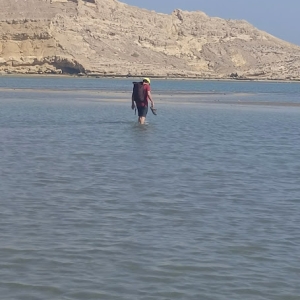 al-sawadi-beach-2