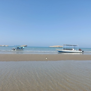 al-sawadi-beach-4