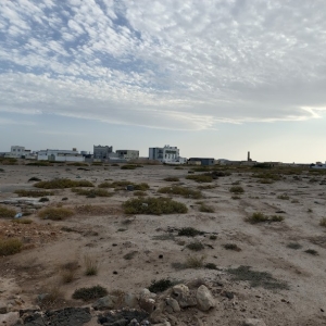 oman-cuatro