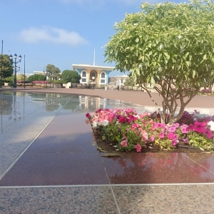 palc-al-alam