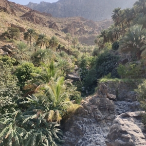 wadi-al-sahtan-2