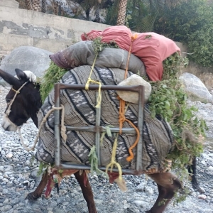 wakan-village-5