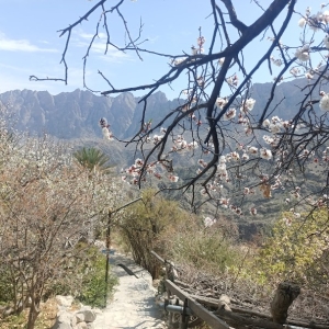 wakan-village