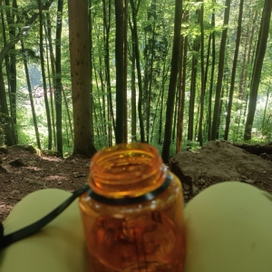 img_20250613_145934xjura01