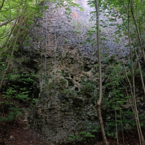 img_20250613_201422xjura01