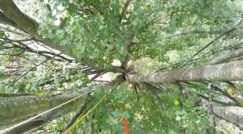 Recenze | Lezec-shop.cz - Page #4