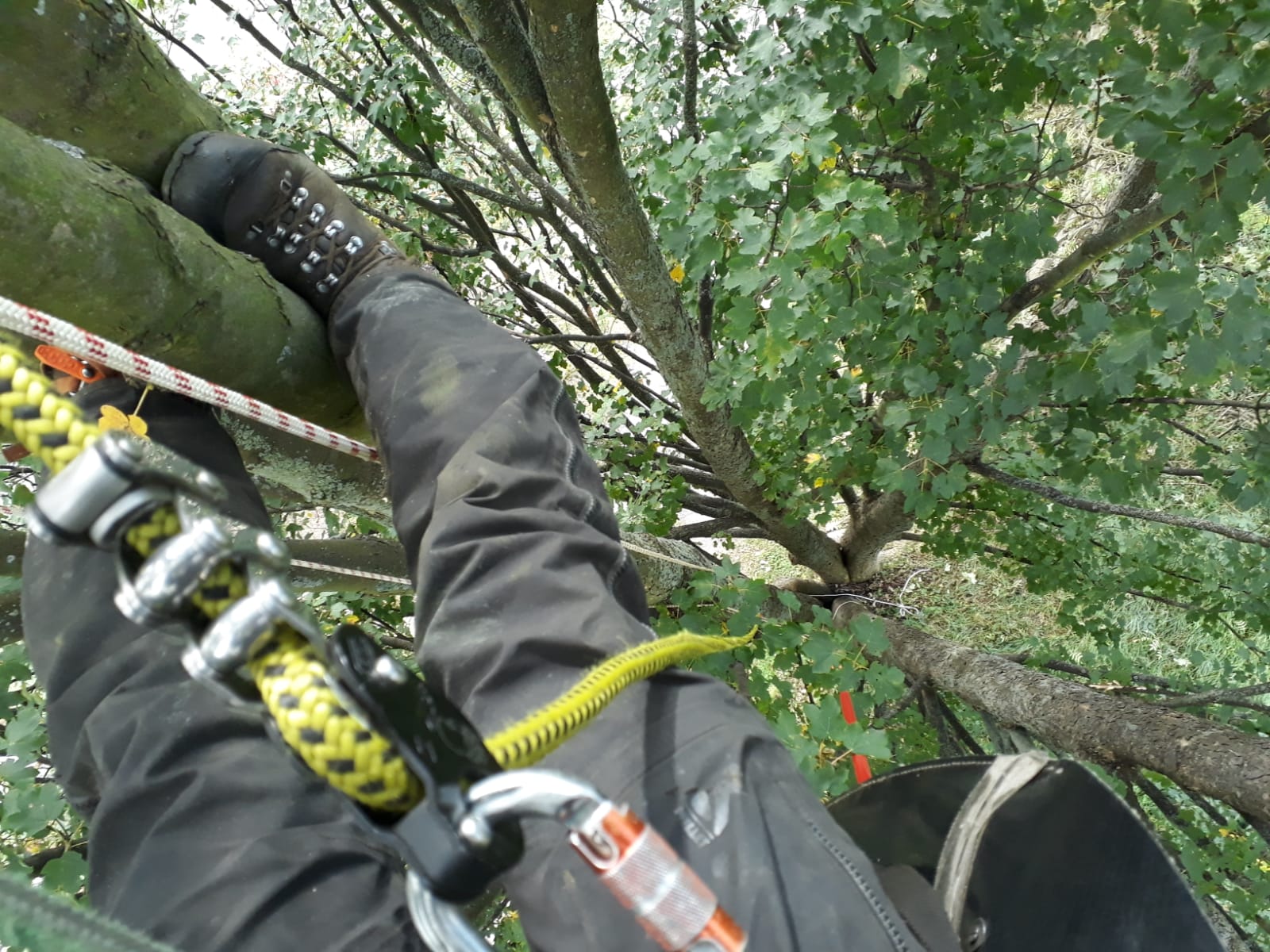 Test vybavení PETZL Zillon | Lezec-shop.cz