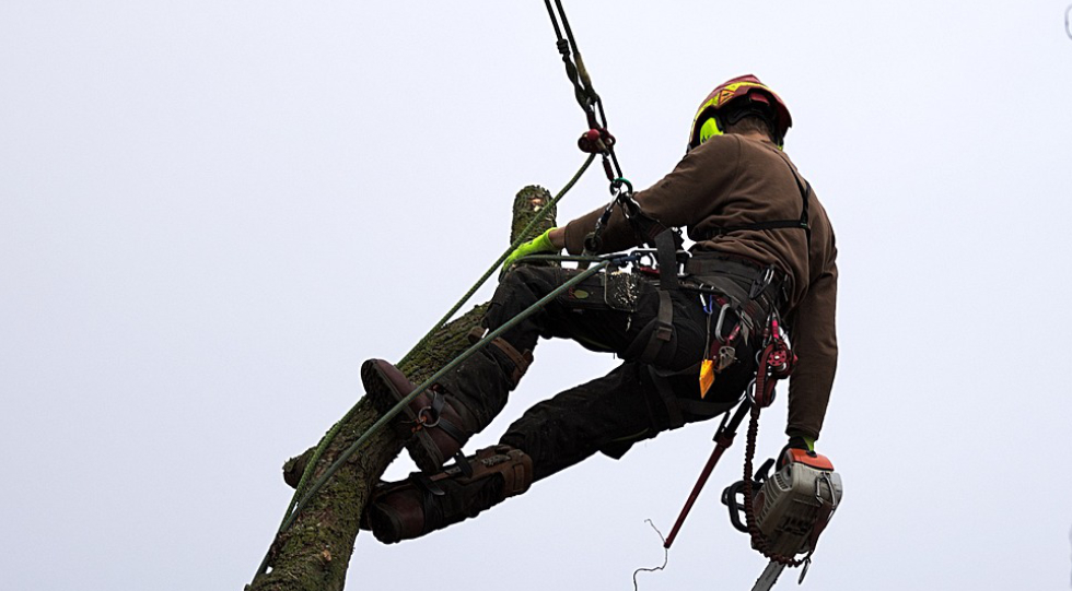 Jak vybrat pracovní sedák