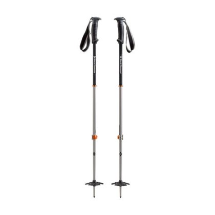 skipoles