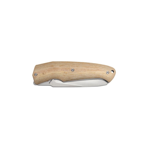 Obrázek (1)